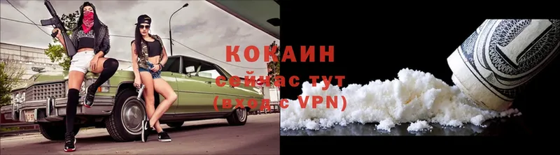 Cocaine Fish Scale  как найти   Катав-Ивановск 